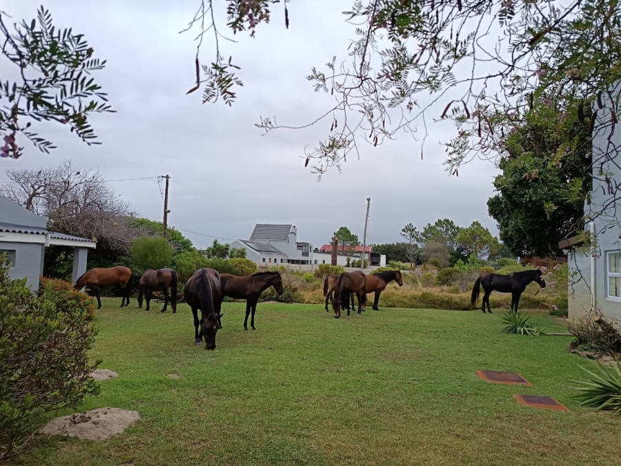 4 Bedroom Property for Sale in Fisherhaven Western Cape